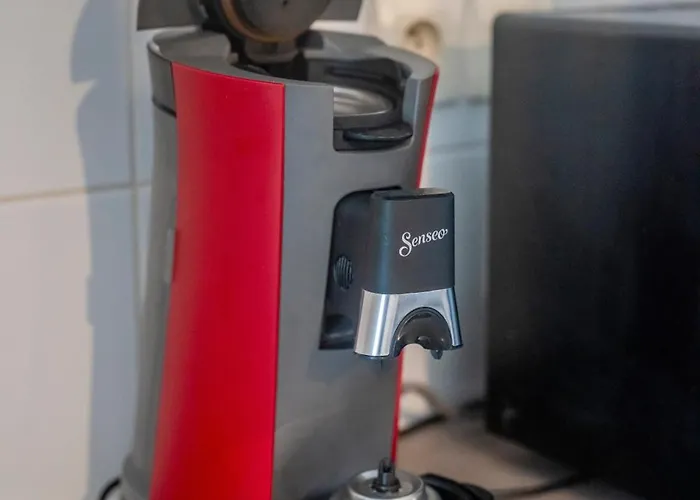 La Parenthese Du Veronese * Nimes